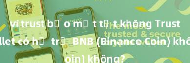 ví trust bảo mật tốt không Trust Wallet có hỗ trợ BNB (Binance Coin) không?